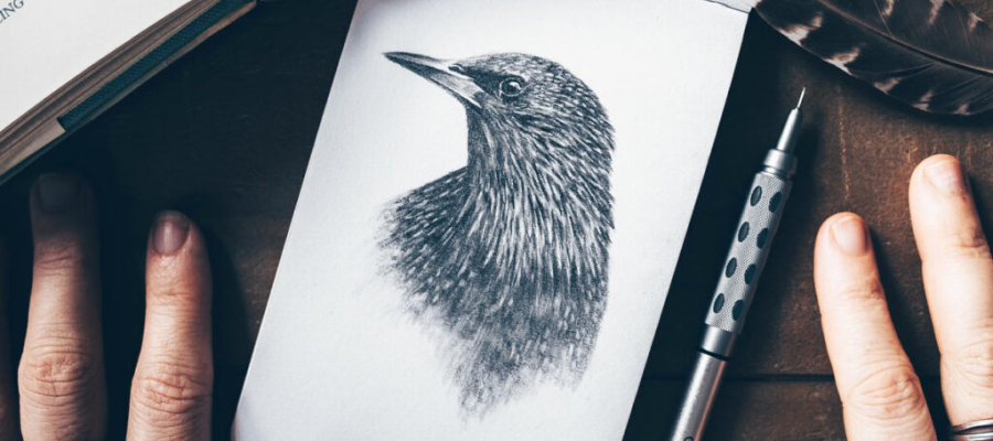 Drawing